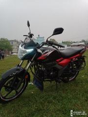 Zaara 110
